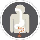 Colonoscopy diagram