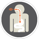 Endoscopy diagram