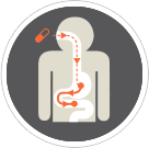 Pill Capsule Endoscopy diagram
